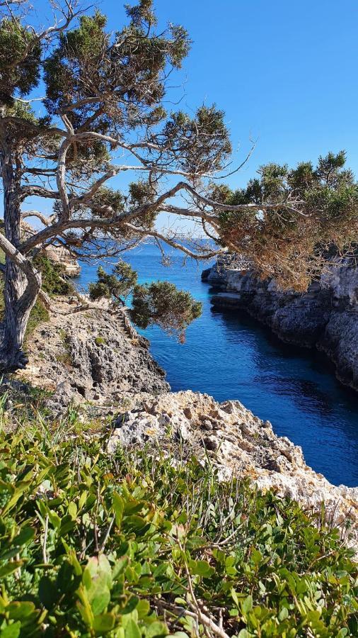 Villa Sirena Cala'N Blanes  Zewnętrze zdjęcie
